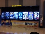 All the movie titles in Hangul. Can make for a rather confusing time.