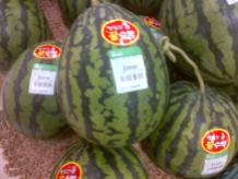 R170 for a watermelon? I'll pass, thanks.